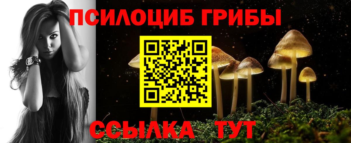 Скопин  Галлюциногенные грибы Magic Shrooms  Галлюциногенные грибы Cubensis  Вход с VPN 
